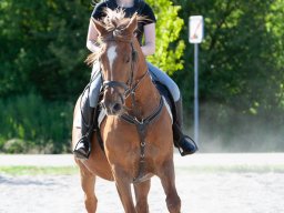IMG_0623_web